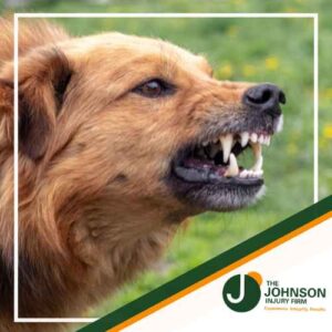 Dog Bite Injury Lawyer Richmond 