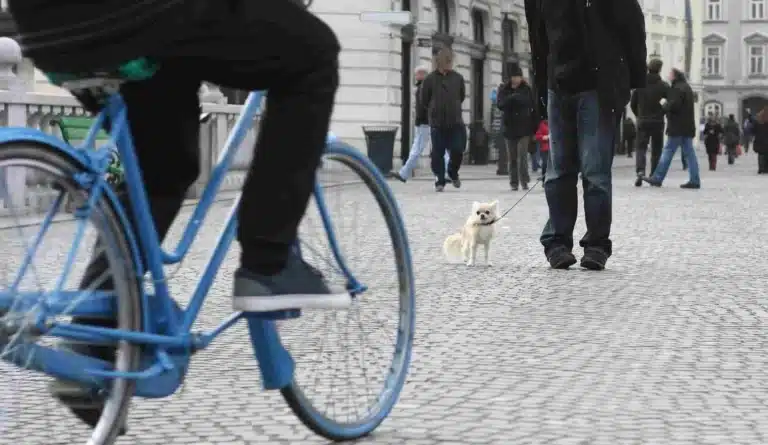 Can You Ride a Bike on The Sidewalk in Virginia