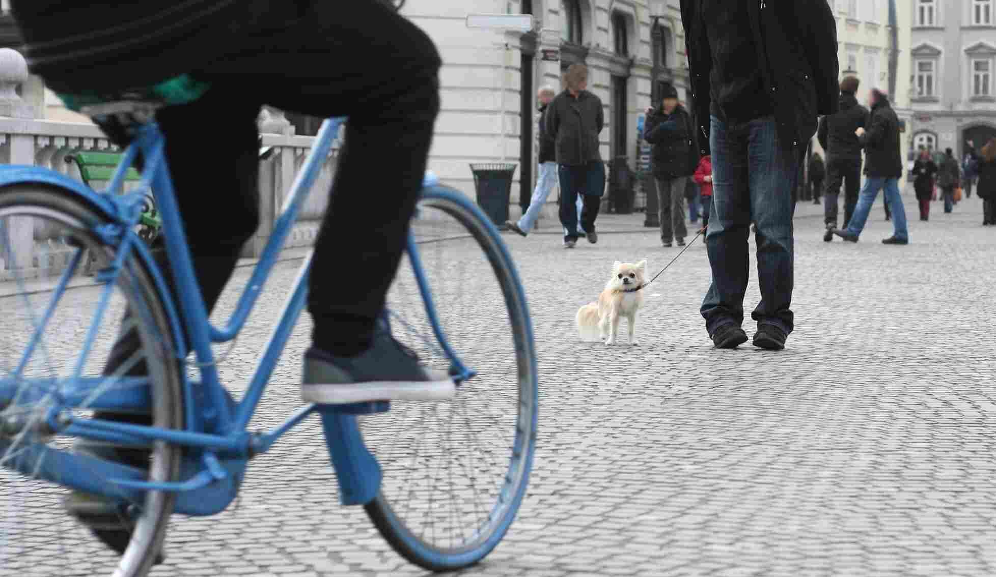 Bicycle accident lawyer in Richmond